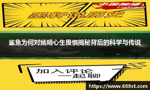 鲨鱼为何对姚明心生畏惧揭秘背后的科学与传说